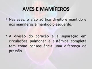 AVES E MAMÍFEROS
• Nas aves, o arco aórtico direito é mantido e
nos mamíferos é mantido o esquerdo;
• A divisão do coração e a separação em
circulações pulmonar e sistêmica completa
tem como consequência uma diferença de
pressão
 