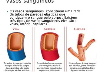 

Os vasos sanguíneos constituem uma rede
de tubos de paredes elásticas que
conduzem o sangue pelo corpo . Existem
três tipos de vasos sanguíneos eles são :
veias, artéria, capilares .

 