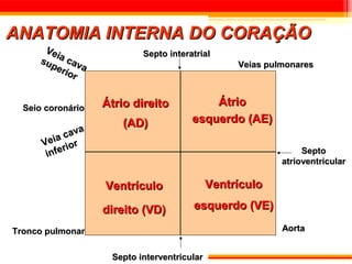 ANATOMIA INTERNA DO CORAÇÃO
      Ve                   Septo interatrial
        i
     su a cav
       pe                                         Veias pulmonares
          rio a
             r


  Seio coronário   Átrio direito           Átrio
                       (AD)            esquerdo (AE)
               a
         a  cav
      Vei ior
           r
       infe                                                     Septo
                                                           atrioventricular

                   Ventrículo                Ventrículo

                   direito (VD)        esquerdo (VE)

Tronco pulmonar                                            Aorta


                    Septo interventricular
 