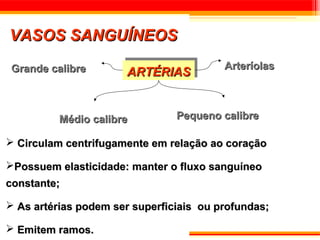 VASOS SANGUÍNEOS
 Grande calibre       ARTÉRIAS           Arteríolas
                      ARTÉRIAS


          Médio calibre         Pequeno calibre

 Circulam centrifugamente em relação ao coração

Possuem elasticidade: manter o fluxo sanguíneo
constante;

 As artérias podem ser superficiais ou profundas;

 Emitem ramos.
 