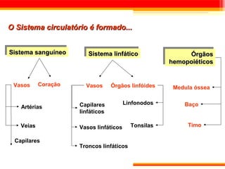 O Sistema circulatório é formado...


Sistema sanguíneo
Sistema sanguíneo       Sistema linfático                  Órgãos
                        Sistema linfático                   Órgãos
                                                      hemopoiéticos
                                                      hemopoiéticos


 Vasos      Coração     Vasos      Órgãos linfóides    Medula óssea


                      Capilares          Linfonodos       Baço
    Artérias
                      linfáticos

    Veias             Vasos linfáticos     Tonsilas        Timo

  Capilares
                      Troncos linfáticos
 