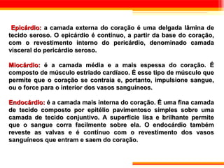 Epicárdio: a camada externa do coração é uma delgada lâmina de
tecido seroso. O epicárdio é contínuo, a partir da base do coração,
com o revestimento interno do pericárdio, denominado camada
visceral do pericárdio seroso.

Miocárdio: é a camada média e a mais espessa do coração. É
composto de músculo estriado cardíaco. É esse tipo de músculo que
permite que o coração se contraia e, portanto, impulsione sangue,
ou o force para o interior dos vasos sanguíneos.

Endocárdio: é a camada mais interna do coração. É uma fina camada
de tecido composto por epitélio pavimentoso simples sobre uma
camada de tecido conjuntivo. A superfície lisa e brilhante permite
que o sangue corra facilmente sobre ela. O endocárdio também
reveste as valvas e é contínuo com o revestimento dos vasos
sanguíneos que entram e saem do coração.
 
