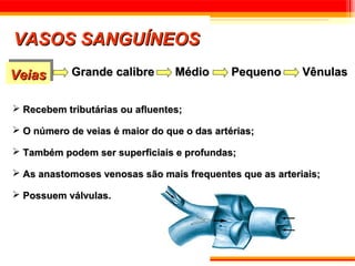 VASOS SANGUÍNEOS
Veias
Veias       Grande calibre       Médio       Pequeno      Vênulas


 Recebem tributárias ou afluentes;

 O número de veias é maior do que o das artérias;

 Também podem ser superficiais e profundas;

 As anastomoses venosas são mais frequentes que as arteriais;

 Possuem válvulas.
 