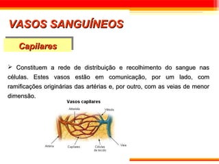 VASOS SANGUÍNEOS
   Capilares
   Capilares

 Constituem a rede de distribuição e recolhimento do sangue nas
células. Estes vasos estão em comunicação, por um lado, com
ramificações originárias das artérias e, por outro, com as veias de menor
dimensão.
 