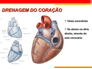 DRENAGEM DO CORAÇÃO

                       Veias coronárias


                       Se abrem no átrio
                      direito, através do
                      seio coronário
 