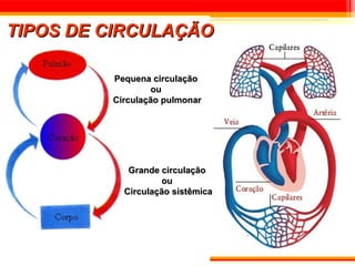 TIPOS DE CIRCULAÇÃO

         Pequena circulação
                  ou
         Circulação pulmonar




            Grande circulação
                   ou
           Circulação sistêmica
 