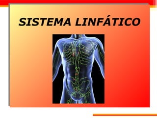 SISTEMA LINFÁTICO
 
