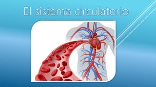 Sistema circulatrorio