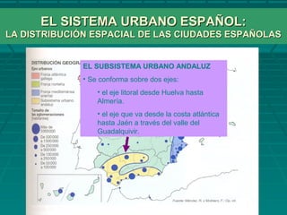 EL SISTEMA URBANO ESPAÑOL:EL SISTEMA URBANO ESPAÑOL:
LA DISTRIBUCIÓN ESPACIAL DE LAS CIUDADES ESPAÑOLASLA DISTRIBUCIÓN ESPACIAL DE LAS CIUDADES ESPAÑOLAS
EL SUBSISTEMA URBANO ANDALUZ
• Se conforma sobre dos ejes:
• el eje litoral desde Huelva hasta
Almería.
• el eje que va desde la costa atlántica
hasta Jaén a través del valle del
Guadalquivir.
 