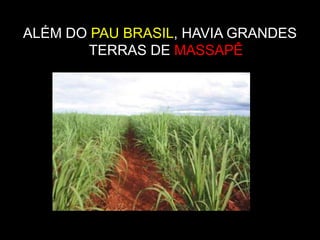 ALÉM DO PAU BRASIL, HAVIA GRANDES TERRAS DE MASSAPÊ