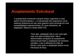 Acoplamento Estrutural
“o acoplamento estrutural é sempre mútuo; organismo e meio
sofrem transformações (...) a manutenção dos organismos comoç ( ) ç g
sistemas dinâmicos em seu meio aparece como centrada em uma
compatibilidade organismo/meio. É o que chamamos de
adaptação” (Matura e Varela 2003:115)adaptação (Matura e Varela 2003:115).
Para eles adaptação não é a do mais aptoPara eles, adaptação não é a do mais apto,
mas a do apto simplesmente. Isto é,
determinadas condições do acoplamento
estrutural permitem a adaptação de maneirasestrutural permitem a adaptação de maneiras
variadas, o que é diferente da visão de
Darwin, para quem a adaptação estava numa
hi i d fhierarquia de força.
 