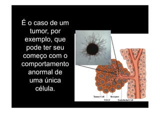 É o caso de um
tumor portumor, por
exemplo, que
pode ter seu
começo com ocomeço com o
comportamento
anormal de
uma únicauma única
célula.
 