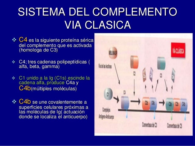 Sistema complemento