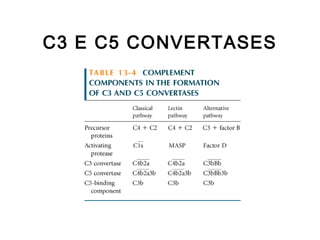 C3 E C5 CONVERTASES
 