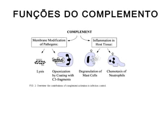 FUNÇÕES DO COMPLEMENTO
 