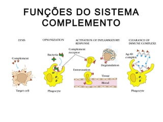 FUNÇÕES DO SISTEMA
COMPLEMENTO
 