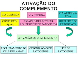 ATIVAÇÃO DO
COMPLEMENTO
VIA CLÁSSICA
COMPLEXO
Ag:Ac
VIA LECTINA
LIGAÇÃO DE LECTINAS
À SUPERFÍCIE DE PATÓGENOS
VIA ALTERNA-
TIVA
SUPERFÍCIE DE
PATÓGENOS
ATIVAÇÃO DO COMPLEMENTO
RECRUTAMENTO DE
CELS INFLAMAT.
OPSONIZAÇÃO DE
PATÓGENOS
LISE DE
PATÓGENOS
 