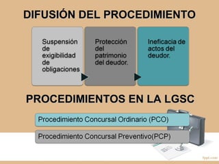 DIFUSIÓN DEL PROCEDIMIENTODIFUSIÓN DEL PROCEDIMIENTO
PROCEDIMIENTOS EN LA LGSCPROCEDIMIENTOS EN LA LGSC
 