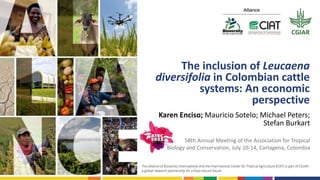 The inclusion of Leucaena
diversifolia in Colombian cattle
systems: An economic
perspective
Karen Enciso; Mauricio Sotelo; Michael Peters;
Stefan Burkart
58th Annual Meeting of the Association for Tropical
Biology and Conservation, July 10-14, Cartagena, Colombia
 
