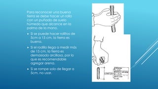 Para reconocer una buena
tierra se debe hacer un rollo
con un puñado de suelo
húmedo que alcance en la
palma de la mano.
 Si se puede hacer rollitos de
5cm a 15 cm, la tierra es
buena.
 Si el rodillo llega a medir más
de 15 cm, la tierra es
demasiado arcillosa, por lo
que es recomendable
agregar arena.
 Si se rompe solo de llegar a
5cm, no usar.
 