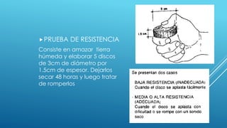 PRUEBA DE RESISTENCIA
Consiste en amazar tierra
húmeda y elaborar 5 discos
de 3cm de diámetro por
1.5cm de espesor. Dejarlos
secar 48 horas y luego tratar
de romperlos
 