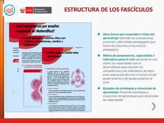ESTRUCTURA DE LOS FASCÍCULOS
Ideas fuerza que responden a mitos del
aprendizaje: describe las concepciones,
creencias y dificultades pedagógicas que
tienen los docentes en la practica
pedagógica.
Matriz de competencias, capacidades e
indicadores para el ciclo: presenta en una
matriz las capacidades que se
desarrollaran para alcanzar las
competencias y los indicadores de logro
para cada grado del ciclo e incluye los del
grado anterior y del grado posterior al
ciclo.
Ejemplos de estrategias y situaciones de
aprendizaje: Presenta estrategias y
situaciones de aprendizaje para desarrollar
las capacidades
 