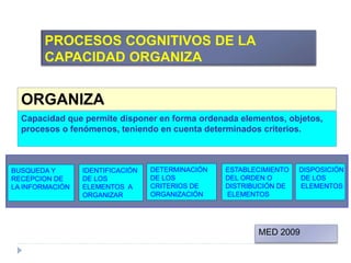 ORGANIZA
Capacidad que permite disponer en forma ordenada elementos, objetos,
procesos o fenómenos, teniendo en cuenta determinados criterios.
BUSQUEDA Y
RECEPCION DE
LA INFORMACIÓN
IDENTIFICACIÓN
DE LOS
ELEMENTOS A
ORGANIZAR
DETERMINACIÓN
DE LOS
CRITERIOS DE
ORGANIZACIÓN
ESTABLECIMIENTO
DEL ORDEN O
DISTRIBUCIÓN DE
ELEMENTOS
DISPOSICIÓN
DE LOS
ELEMENTOS
PROCESOS COGNITIVOS DE LA
CAPACIDAD ORGANIZA
MED 2009
 