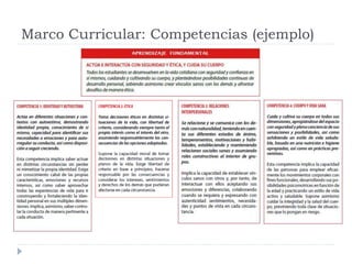 Marco Curricular: Competencias (ejemplo)
 