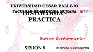 HISTOLOGIA -
PRACTICA
Dr. Jomeinni Raúl Bringas Pérez
UNIVERSIDAD CESAR VALLEJO
FACULTAD DE MEDICINA HUMANA
SESION 8
Sistema Cardiovascular
 
