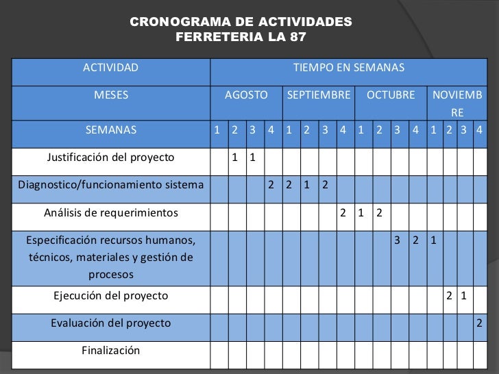 formato cronograma de actividades excel