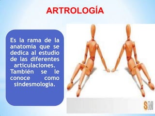 Es la rama de la
anatomía que se
dedica al estudio
de las diferentes
articulaciones.
También se le
conoce como
sindesmología.
ARTROLOGÍA
 