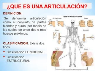DEFINICION:
Se denomina articulación
como el conjunto de partes
blandas y duras, por medio de
las cuales se unen dos o más
huesos próximos.
CLASIFICACION: Existe dos
tipos
 Clasificación FUNCIONAL
 Clasificación
ESTRUCTURAL
¿QUE ES UNA ARTICULACIÓN?
 