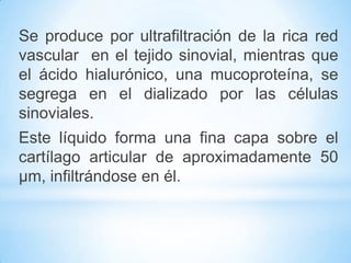 Se produce por ultrafiltración de la rica red
vascular en el tejido sinovial, mientras que
el ácido hialurónico, una mucoproteína, se
segrega en el dializado por las células
sinoviales.
Este líquido forma una fina capa sobre el
cartílago articular de aproximadamente 50
μm, infiltrándose en él.
 