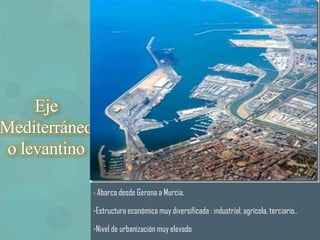 Eje
Mediterráneo
 o levantino

               • Abarca desde Gerona a Murcia.


               •Estructura económica muy diversificada : industrial, agrícola, terciario..

               •Nivel de urbanización muy elevado
 