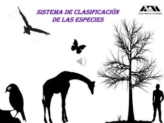Sistema de clasificación
de las especies
 