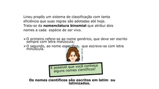 Lineu e o sistema binomial de classificação
Lineu propôs um sistema de classificação com tanta
eficiência que suas regras são adotadas até hoje.
Trata-se da nomenclatura binomial que atribui dois
nomes a cada espécie de ser vivo.
O primeiro refere-se ao nome genérico, que deve ser escrito
sempre com letra maiúscula;
O segundo, ao nome específico, que escreve-se com letra
minúscula.
Os nomes científicos são escritos em latim ou
latinizados.
Imagem:
SEE-PE
 