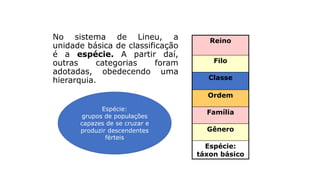 Taxonomia
No sistema de Lineu, a
unidade básica de classificação
é a espécie. A partir daí,
outras categorias foram
adotadas, obedecendo uma
hierarquia.
Reino
Filo
Classe
Ordem
Família
Gênero
Espécie:
táxon básico
Espécie:
grupos de populações
capazes de se cruzar e
produzir descendentes
férteis
 