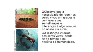 Observe que a
necessidade de reunir os
seres vivos em grupos e
conhecer suas
semelhanças e
diferenças é algo comum
no nosso dia a dia.
A distinção informal
dos seres vivos, perde-
se no tempo e na
história da humanidade.
classificação dos seres vivos
Imagem:
Steve
Jurvetson
from
Menlo
Park,
USA
/
Creative
Commons
Imagem:
Damiano
Luchetti
/
Public
Domain
 