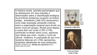 Revirando o passado
A história revela grandes personagens que
se destacaram em seus estudos e
observações sobre a classificação biológica.
As primeiras tentativas surgiram na Grécia
antiga. Aristóteles (348-323) demonstrou
uma visão avançada utilizando critérios
como a organização corporal para dividir os
seres vivos em grupos. Muitos anos depois,
o sueco Karl von Linée (1707-1778),
conhecido no Brasil como Lineu, apareceu
com ideias que iriam mudar o rumo da
ciência moderna. A publicação do seu livro
Systema Naturae em 1758, apresentou
propostas detalhadas de suas pesquisas.
AMABIS,J.M.MARTHO,G.R. Biologia dos organismos.Editora
Moderna,São Pulo:2010.
Aristóteles (348-323
Karl von Linée
(1707-1778
Aristóteles (348-323)
Carl von Linée
(1707-1778)
Jastrow
(2006)
/
National
Museum
of
Rome
/
Public
Domain
United
States
Public
Domain]
 