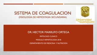SISTEMA DE COAGULACION
(FISIOLOGIA DE HEMOSTASIA SECUNDARIA)
DR. HECTOR MARRUFO ORTEGA
PATOLOGO CLINICO
MODULO HEMATOLOGIA 2018
DEPARTAMENTO DE MEDICINA Y NUTRICION
 