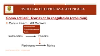 FISIOLOGIA DE HEMOSTASIA SECUNDARIA
Como actúan?: Teorias de la coagulación (evolución)
 Modelo Clásico 1904 Morawitz
Trombocinasa o
Tromboplastina tisular
Calcio
Protrombina Trombina
Fibrinógeno Fibrina
DR. HECTOR MARRUFO ORTEGA PATOLOGO CLINICO
 