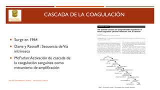 CASCADA DE LA COAGULACIÓN
 Surge en 1964
 Davie y Ratnoff : Secuencia deVía
intrínseca
 McFarlan:Activación de cascada de
la coagulación sanguínea como
mecanismo de amplificación
DR. HECTOR MARRUFO ORTEGA PATOLOGO CLINICO
 