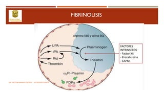 FIBRINOLISIS
DR. HECTOR MARRUFO ORTEGA PATOLOGO CLINICO
 