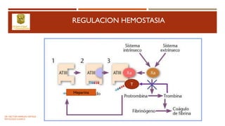 REGULACION HEMOSTASIA
Heparina
T
DR. HECTOR MARRUFO ORTEGA
PATOLOGO CLINICO
 