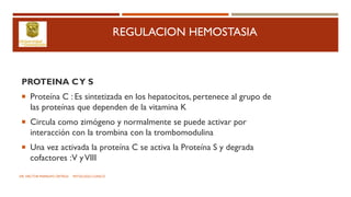 REGULACION HEMOSTASIA
PROTEINA CY S
 Proteína C : Es sintetizada en los hepatocitos, pertenece al grupo de
las proteínas que dependen de la vitamina K
 Circula como zimógeno y normalmente se puede activar por
interacción con la trombina con la trombomodulina
 Una vez activada la proteína C se activa la Proteína S y degrada
cofactores :V yVIII
DR. HECTOR MARRUFO ORTEGA PATOLOGO CLINICO
 