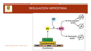REGULACION HEMOSTASIA
DR. HECTOR MARRUFO ORTEGA PATOLOGO CLINICO
 