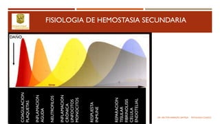 FISIOLOGIA DE HEMOSTASIA SECUNDARIACOAGULACION
PLAQUETAS
INFLAMACION
AGUDA
NEUTROFILOS
INFLAMACION
CRÓNICA
LINFOCITOS
MONOCITOS
RESPUESTA
INMUNE
REPARACION
TISULAR
FIBRINOLISIS
CELULA
ENDOTELIAL
DAÑO
DR. HECTOR MARRUFO ORTEGA PATOLOGO CLINICO
 