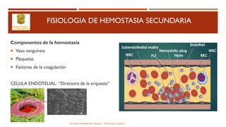 FISIOLOGIA DE HEMOSTASIA SECUNDARIA
Componentes de la hemostasia
 Vaso sanguíneo
 Plaquetas
 Factores de la coagulación
CELULA ENDOTELIAL: “Directora de la orquesta”
DR. HECTOR MARRUFO ORTEGA PATOLOGO CLINICO
 