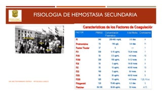 FISIOLOGIA DE HEMOSTASIA SECUNDARIA
DR. HECTOR MARRUFO ORTEGA PATOLOGO CLINICO
 
