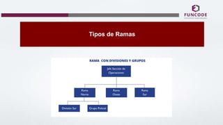 Tipos de Ramas
 